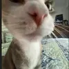 Fatoumaaaaa!!!!! - @fatima.baydoun90 - TikTok