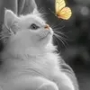 Fatima_bell - @fatima____bell - TikTok
