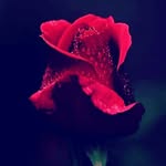 fatima azahra bellaoui - @fatimaazahrabellaoui - Instagram