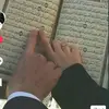 fatima bellaoui - @fatima_bellaoui4 - TikTok