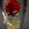 Bethy Fatima - @bethy.fatima - TikTok