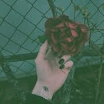 fatima - @_fatima_beygi - Instagram
