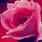 fatima bhutto - @fa.tima3264 - Instagram