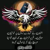 ❣️Fatima Bhutto ❣️M.S.F❣️ - @fatimabhutto50 - TikTok