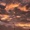♡𝔽𝕒𝕥𝕚𝕞𝕒♡ - @fatima.bird - TikTok
