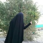 Fatima Bitar - @bitar4521 - Instagram