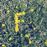 fatima bitar - @bitar825 - Instagram