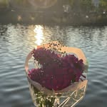 Fatima Bitar - @fatimabitar - Instagram