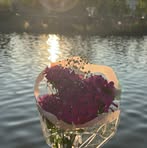 Fatima Bitar - Facebook