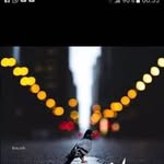 Fatima Bitar - @fatima.bitar.357 - Instagram