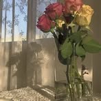 Fatima Bitar - Facebook