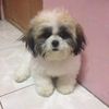 Fatima Blake - @user53236833 - TikTok