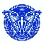 🦋 Développement personnel 🦋 Confiance en soi 🦋 - @fatimabluemorpho - Instagram