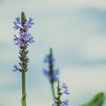 Fatima Salami Bourji - @salamibourji - Instagram