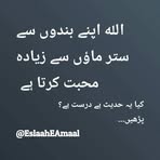 Bin Te Fatima - Facebook