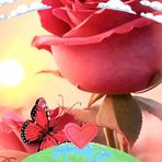 Arlete Fatima Buck Pereira - Facebook