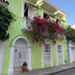 Fatima Bustos - @pochibustoss - Instagram