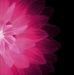 Tima Calhoun - Facebook