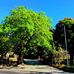 colonia Fatima, calle nueva - Facebook