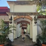 Fátima Cañas - @gordima - Instagram