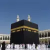 fatimahcannon6 - @fatimahcannon6 - TikTok