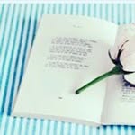 ١٧ - @_fatimachan - Instagram
