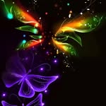 Fatima chanda - @fatimachanda4 - Instagram