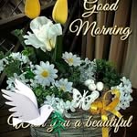 Fatima Cheni - @fatimacheni - Instagram