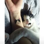 fatima chentaf - @chentaffatima - Instagram