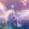 colladofatima001 - @colladofatima001 - TikTok