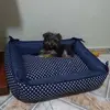 Fatima Colucci - @fatimacolucci - TikTok