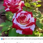 Fátima Constantino - @fatima.constantino.3158 - Instagram
