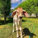 Fátima Córdova López - @fati_macordova - Instagram