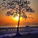 Fatima - @fatimadamas - Instagram