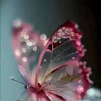 Fatima Eid - Facebook