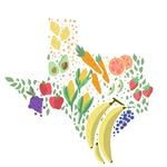 Fatima Ellahi MS RD LD CNSC - @dietitiansoftexas - Instagram