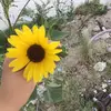 Fatima Espino - @fatima.espino24 - TikTok