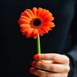 @_fatima_farhat__ - Instagram