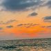 Fatima Farhat - Facebook