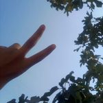 fatima farhat - @fatima_____farhat_____ - Instagram