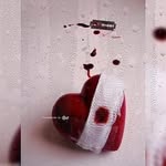 Fatima Farmer - @fatima.farmer.18 - Instagram