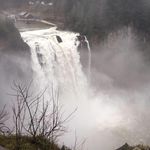 Fatima Fields - @fatimahassan6521 - Instagram