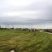 Fatima Soccer Fields - Facebook