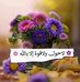 Fatima Fatima Fowler - Facebook