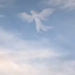 Fatima - @fatima._frankfurt - Instagram