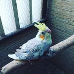 Fatima Geronimo - @fatima.geronimo.1 - Instagram