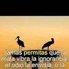 Fatima Geronimo - @fatima.geronimo - TikTok