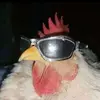 fatima giles - @fatimagiles64 - TikTok