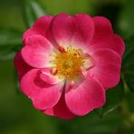 Fatima Glover - Facebook