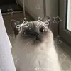 Fatimah Aleya - @fatimahaleya858 - TikTok